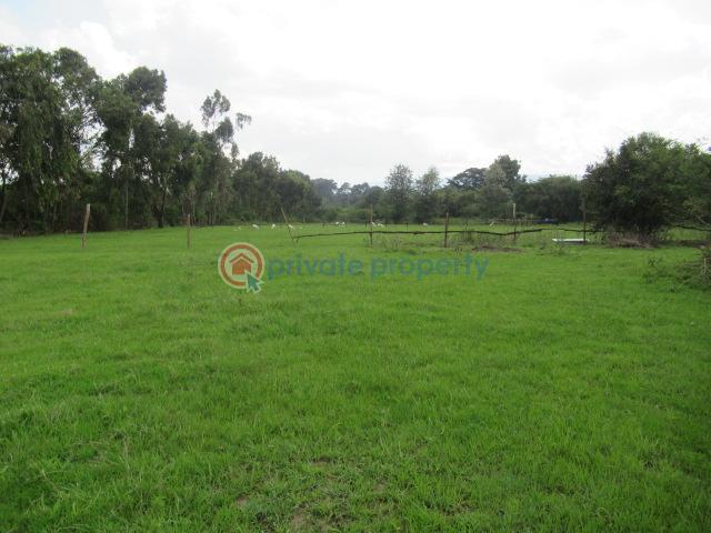Residential Land For Sale Ololua Ridge Karen Nairobi - 4