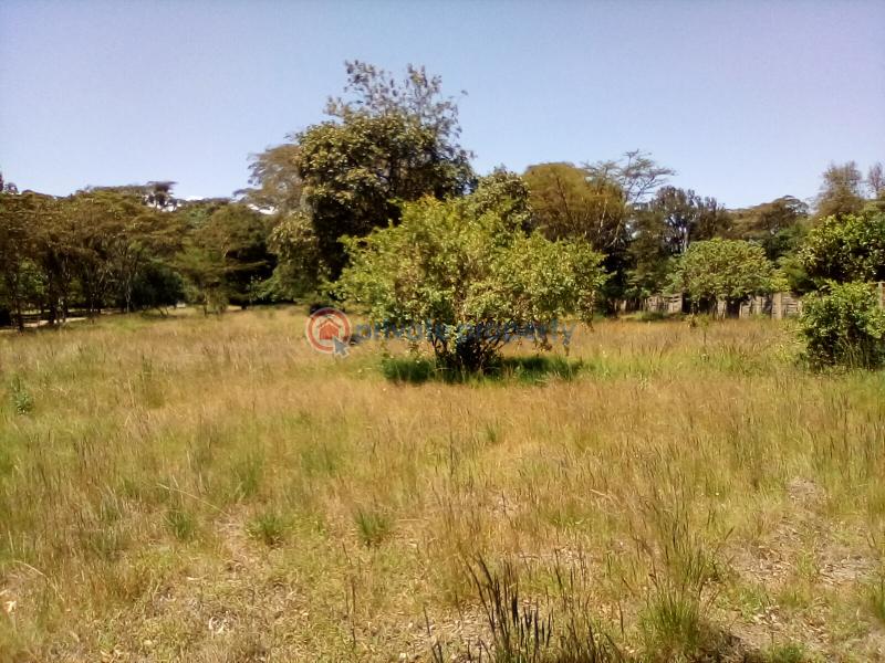 Land For Sale Forest Edge Rd Karen Nairobi - 7