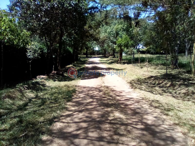 Land For Sale Forest Edge Rd Karen Nairobi - 2