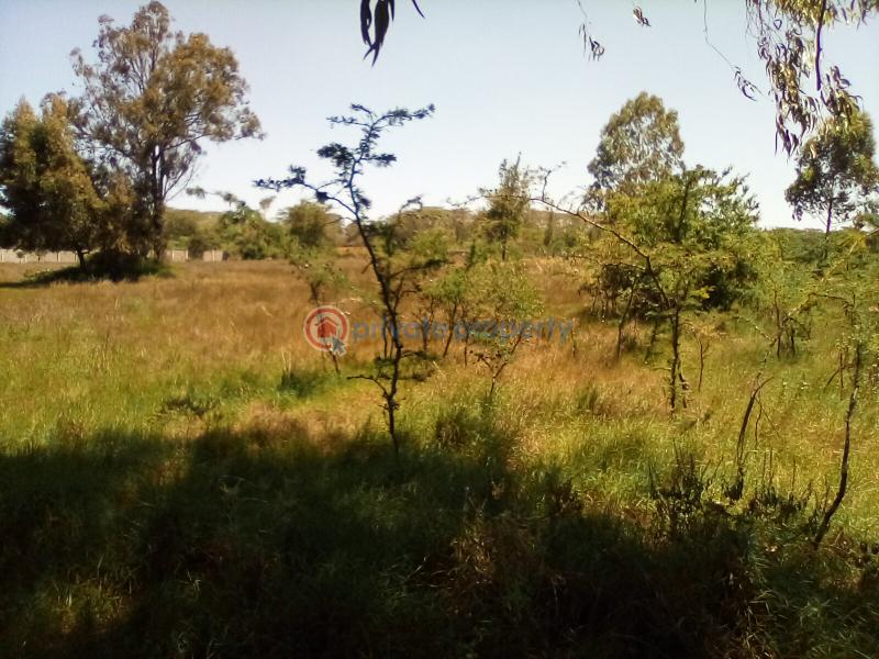 Land For Sale Forest Edge Rd Karen Nairobi - 1