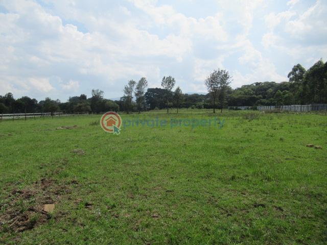 Residential Land For Sale Ololua Ridge Karen Nairobi - 6