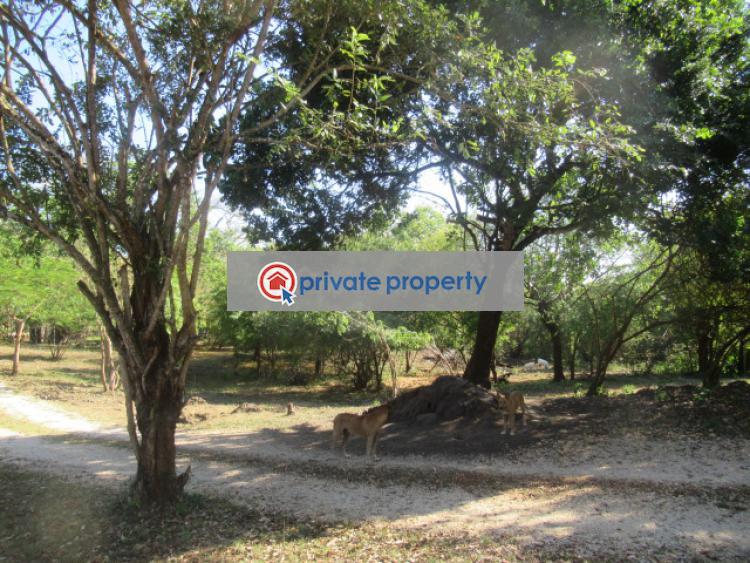 Land For Sale &nbsp;diani Ukunda Kwale - 3