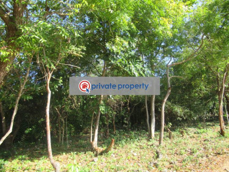 Land For Sale &nbsp;diani Ukunda Kwale - 6