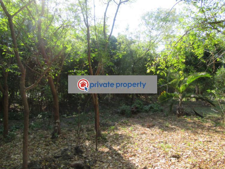 Land For Sale &nbsp;diani Ukunda Kwale - 11