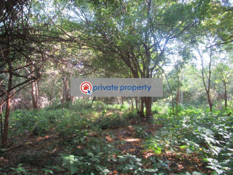 Land For Sale &nbsp;diani Ukunda Kwale - 13