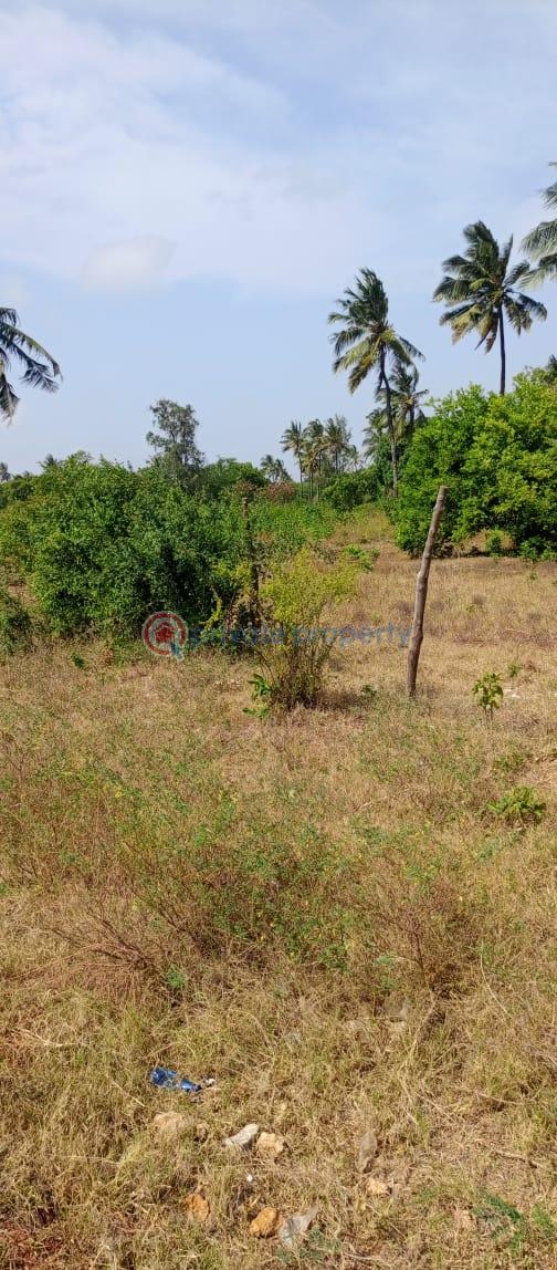 Land For Sale Takaungu Kibarani Kilifi - 1