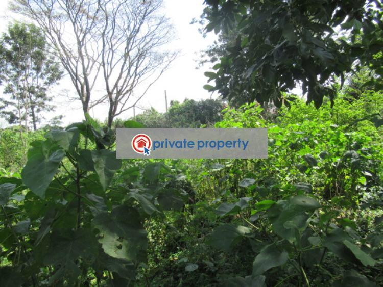 Residential Land For Sale &nbsp;runda Grove Runda Westlands Nairobi - 4