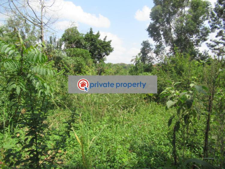 Residential Land For Sale &nbsp;runda Grove Runda Westlands Nairobi - 2