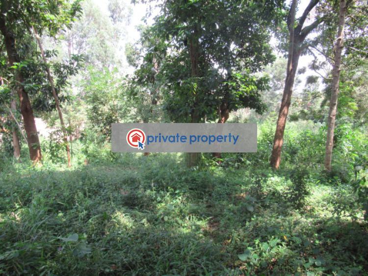 Residential Land For Sale &nbsp;runda Grove Runda Westlands Nairobi - 9