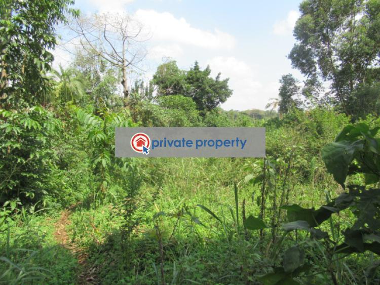 Residential Land For Sale &nbsp;runda Grove Runda Westlands Nairobi - 5