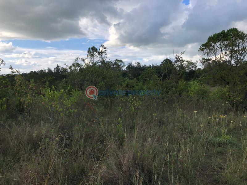Land For Sale 1 Acre Prime Plot For Sale – Nuru, Nanyuki Nanyuki Laikipia - 10