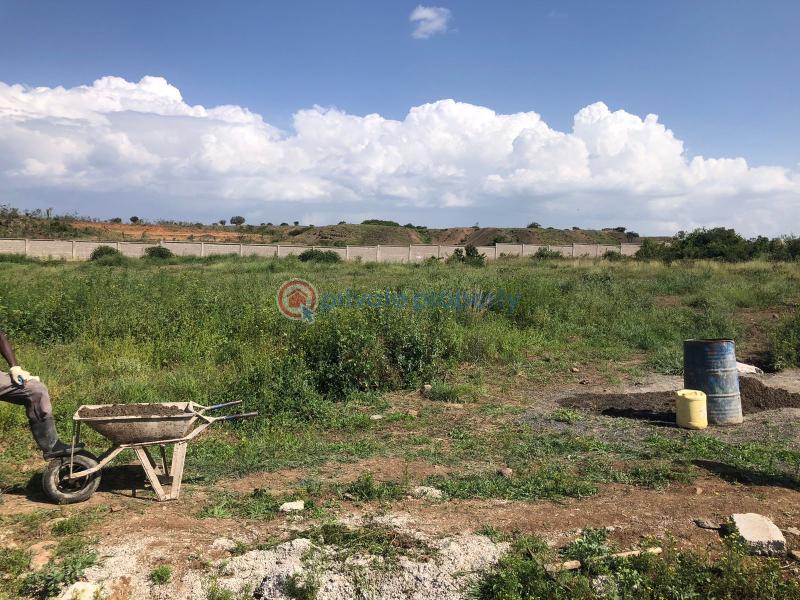 Land For Sale 1 Acre Prime Plot For Sale – Nuru, Nanyuki Nanyuki Laikipia - 5