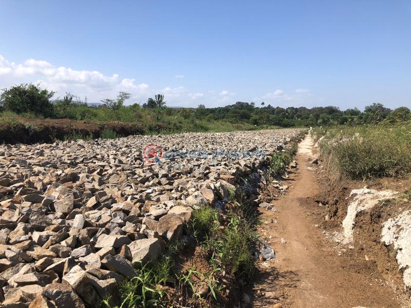 Land For Sale 1 Acre Prime Plot For Sale – Nuru, Nanyuki Nanyuki Laikipia - 7