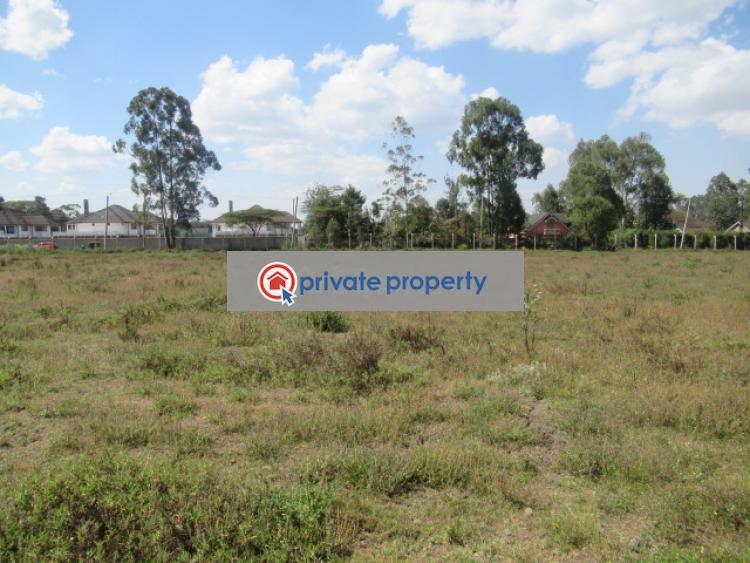 Land For Sale &nbsp;marula Lane Karen Nairobi - 3