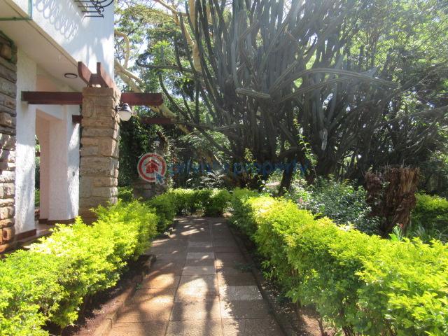 Land For Sale Lavington Nairobi - 1