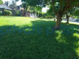 Land For Sale Mtwapa Kilifi - 10