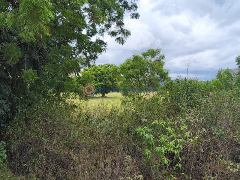 Industrial Land For Sale Epz, Kikambala Kikambala Mtwapa Kilifi - 4