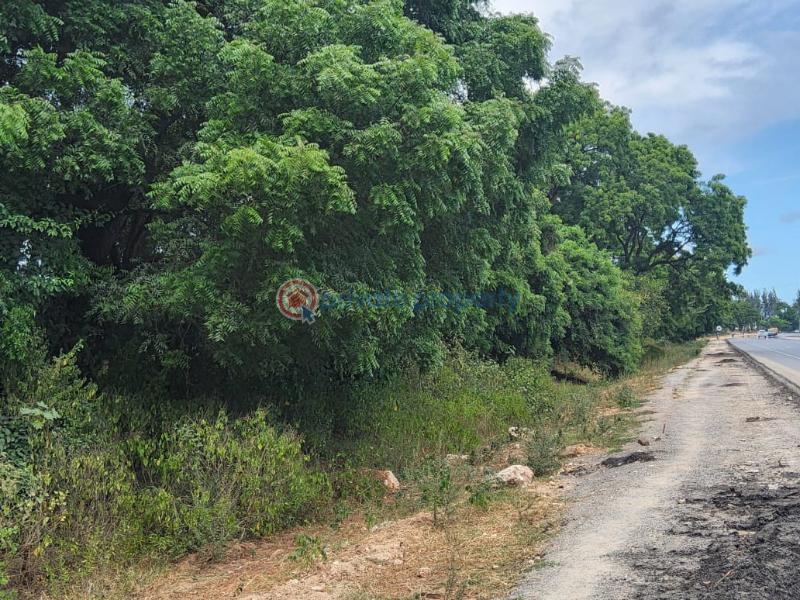 Industrial Land For Sale Epz, Kikambala Kikambala Mtwapa Kilifi - 5