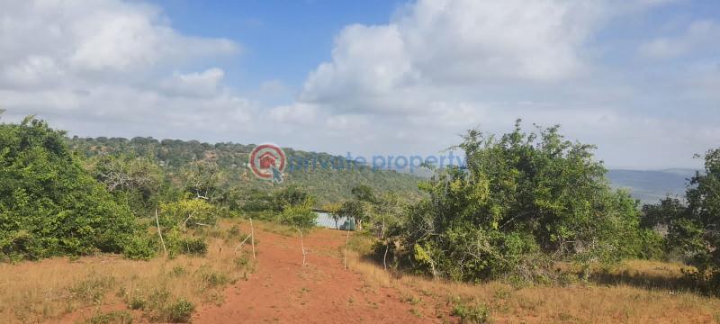 Land For Sale Golini Escarpment, Near Governor's Official Residence. Ukunda. Kwale - 4