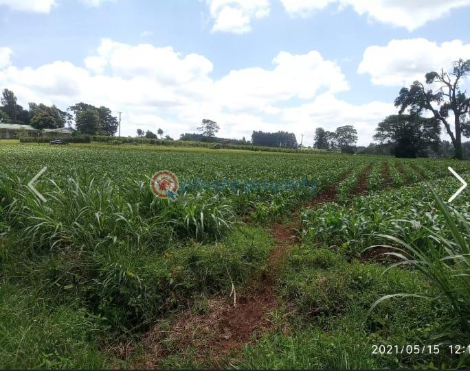 Land For Sale Nazareth Hospital Road Tigoni. Kiambu - 8