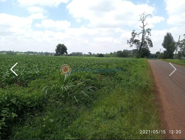 Land For Sale Nazareth Hospital Road Tigoni. Kiambu - 6