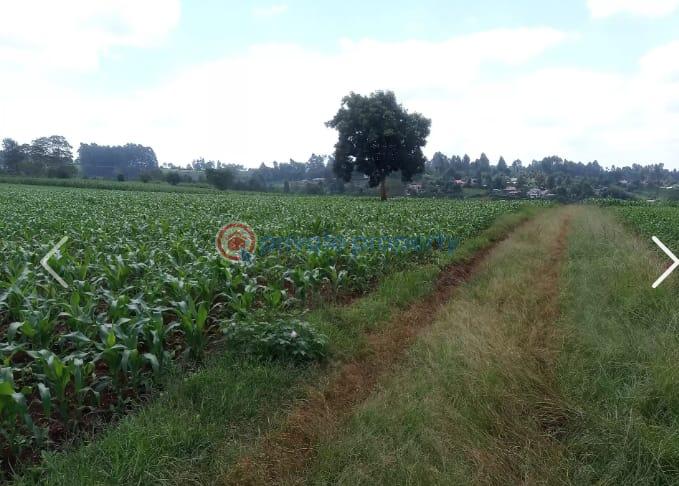 Land For Sale Nazareth Hospital Road Tigoni. Kiambu - 7