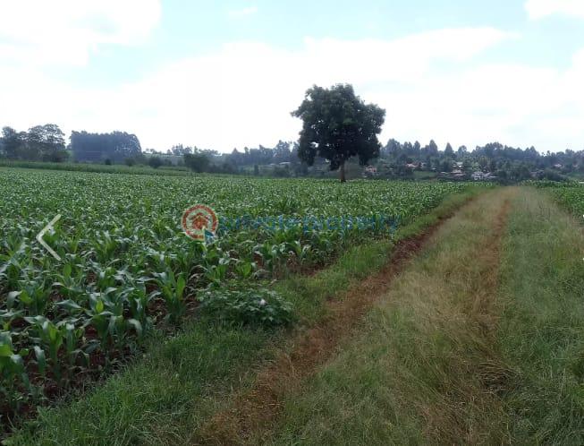 Land For Sale Nazareth Hospital Road Tigoni. Kiambu - 3