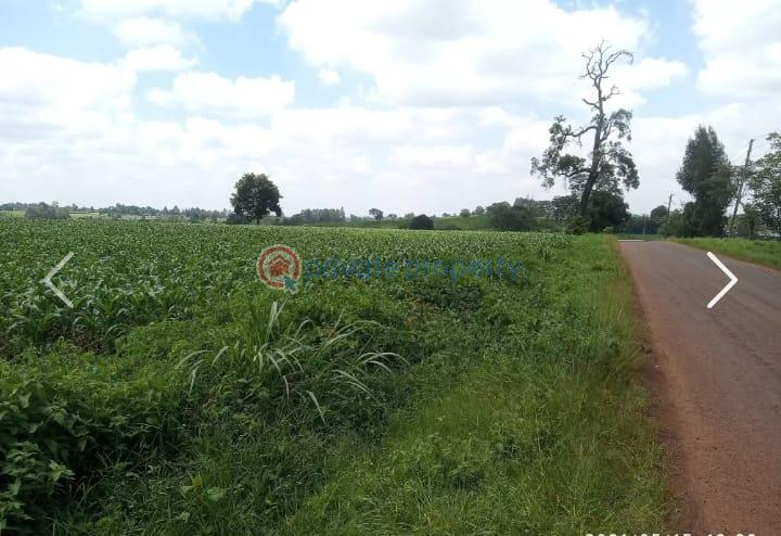 Land For Sale Nazareth Hospital Road Tigoni. Kiambu - 10
