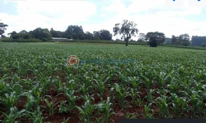Land For Sale Nazareth Hospital Road Tigoni. Kiambu - 0