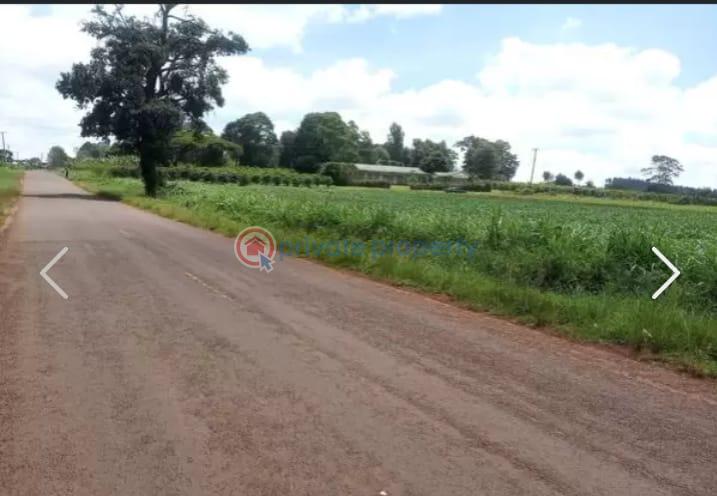 Land For Sale Nazareth Hospital Road Tigoni. Kiambu - 9