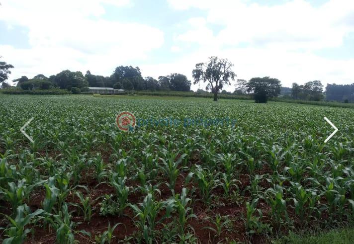 Land For Sale Nazareth Hospital Road Tigoni. Kiambu - 4
