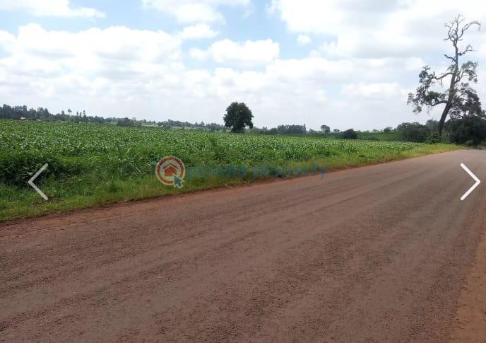 Land For Sale Nazareth Hospital Road Tigoni. Kiambu - 2