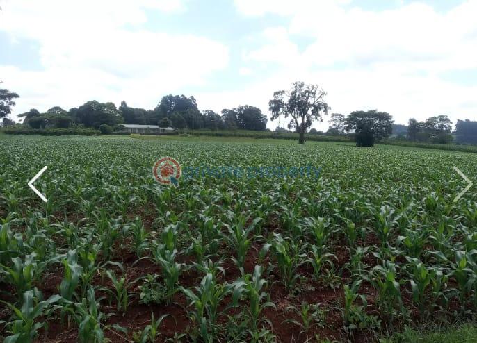 Land For Sale Nazareth Hospital Road Tigoni. Kiambu - 1