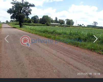 Land For Sale Nazareth Hospital Road Tigoni. Kiambu - 5