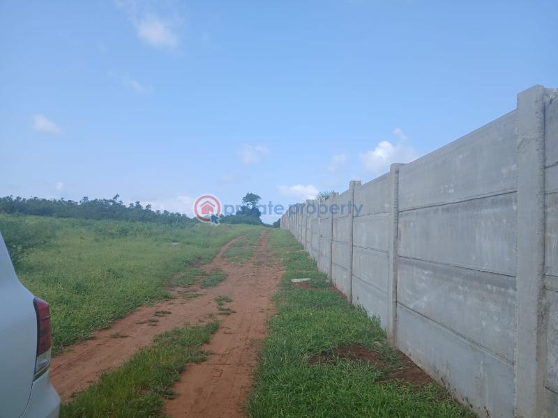 Land For Sale Vipingo Marijani Vipingo Beach Shimo La Tewa Kilifi - 4