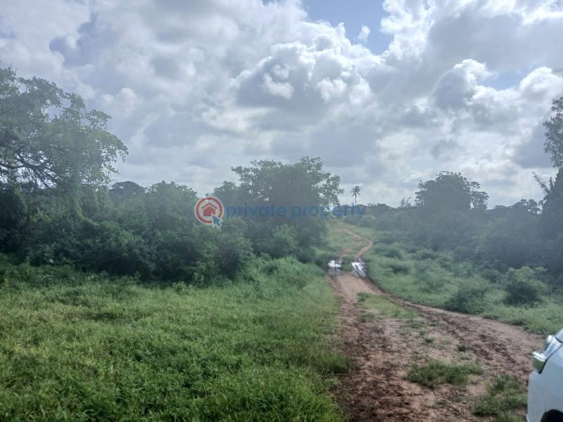 Land For Sale Vipingo Marijani Vipingo Beach Shimo La Tewa Kilifi - 1
