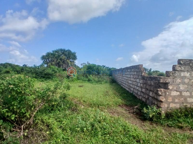 Land For Sale Vipingo Marijani Vipingo Beach Shimo La Tewa Kilifi - 3