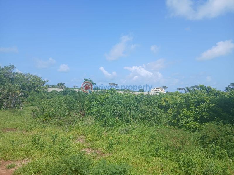Land For Sale Vipingo Marijani Vipingo Beach Shimo La Tewa Kilifi - 0