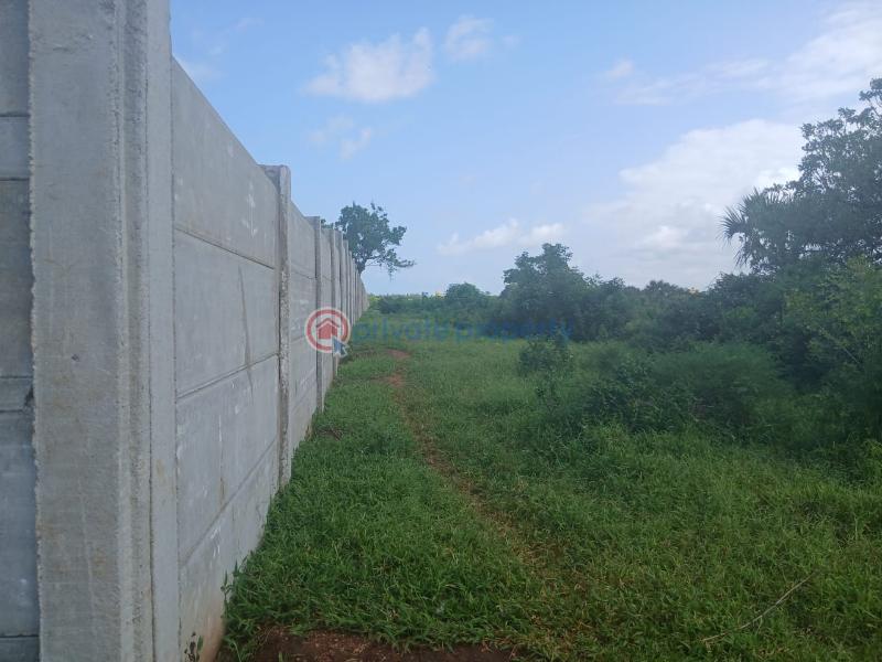 Land For Sale Vipingo Marijani Vipingo Beach Shimo La Tewa Kilifi - 5