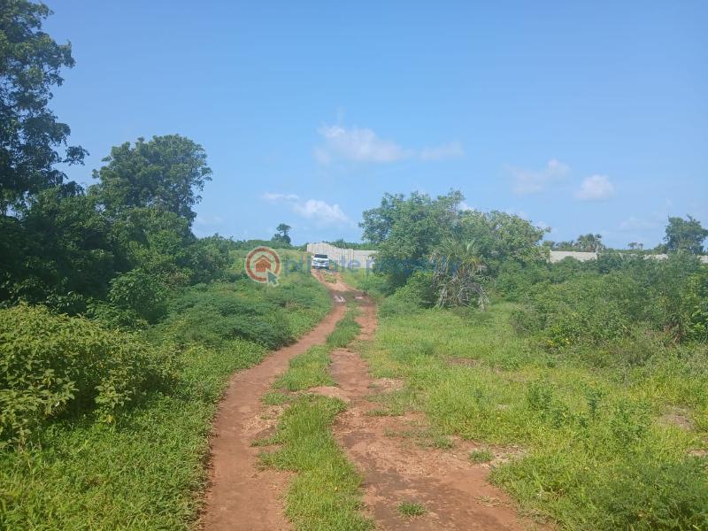 Land For Sale Vipingo Marijani Vipingo Beach Shimo La Tewa Kilifi - 2