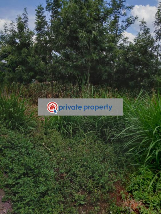 Residential Land For Sale &nbsp;muguga thamanda Kikuyu Kiambu - 9