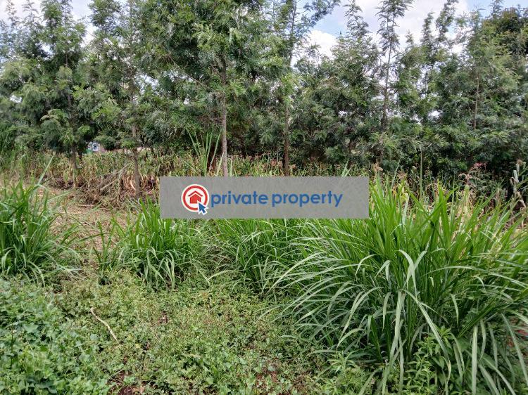 Residential Land For Sale &nbsp;muguga thamanda Kikuyu Kiambu - 2