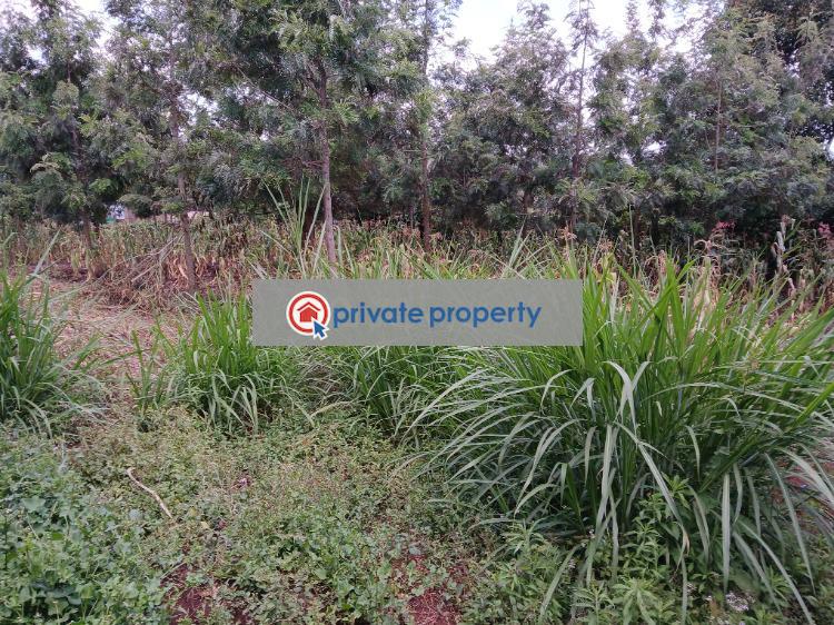 Residential Land For Sale &nbsp;muguga thamanda Kikuyu Kiambu - 11