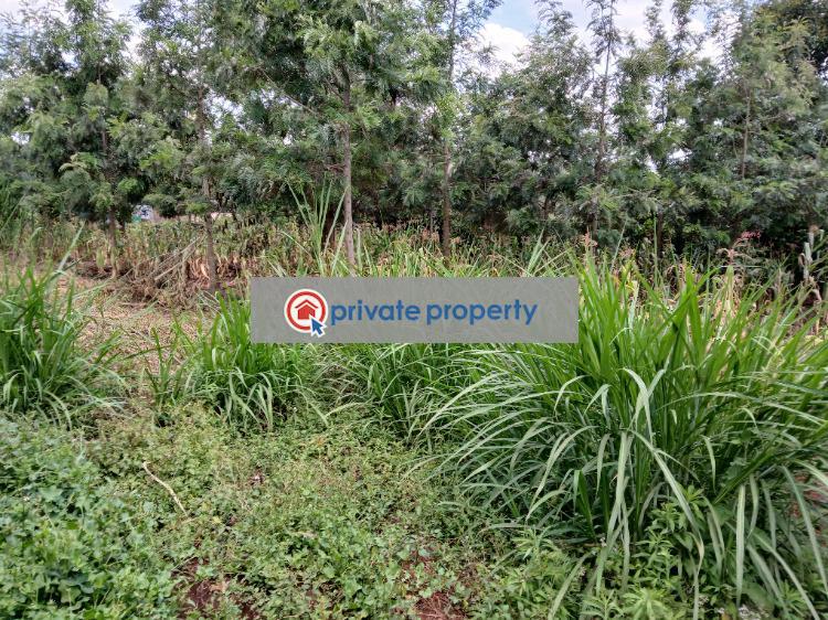 Residential Land For Sale &nbsp;muguga thamanda Kikuyu Kiambu - 13