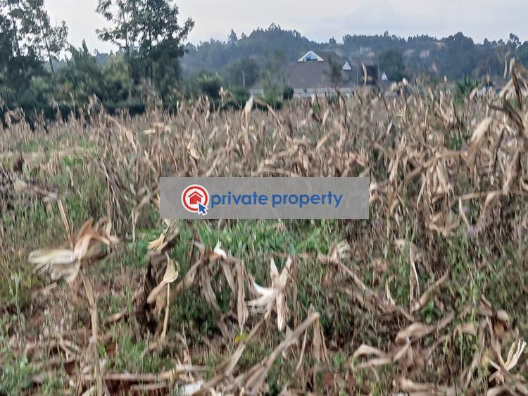 Residential Land For Sale &nbsp;gikambura Kikuyu Kiambu - 7