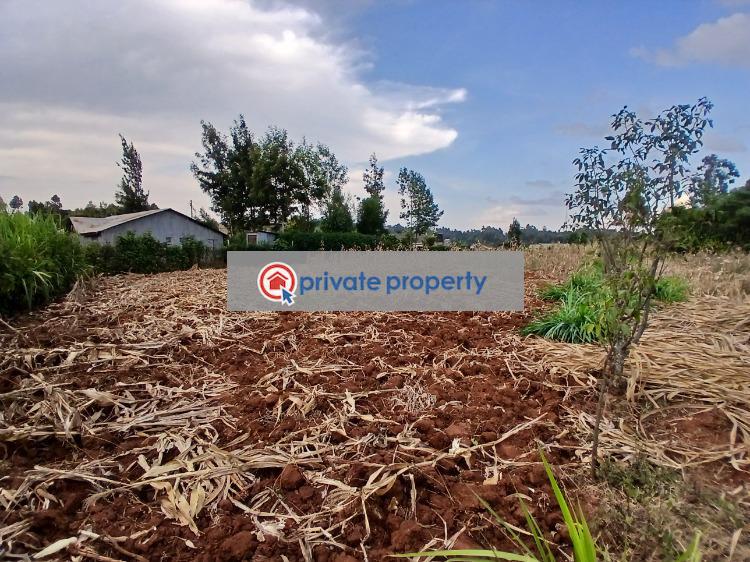 Residential Land For Sale &nbsp;gikambura Kikuyu Kiambu - 6