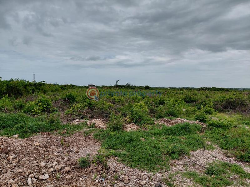 Land For Sale Watamu Ocean Front Jacaranda Jacaranda Beach. Watamu Kilifi - 15