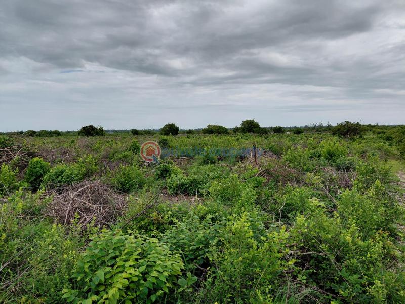 Land For Sale Watamu Ocean Front Ocean Front Watamu Kilifi - 7