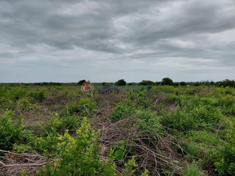 Land For Sale Watamu Ocean Front Jacaranda Jacaranda Beach. Watamu Kilifi - 3