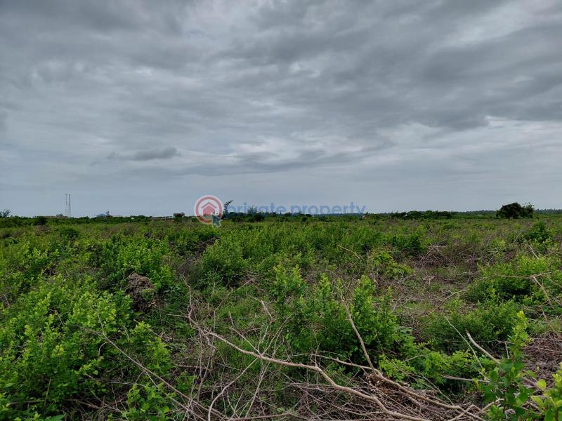 Land For Sale Watamu Ocean Front Jacaranda Jacaranda Beach. Watamu Kilifi - 16